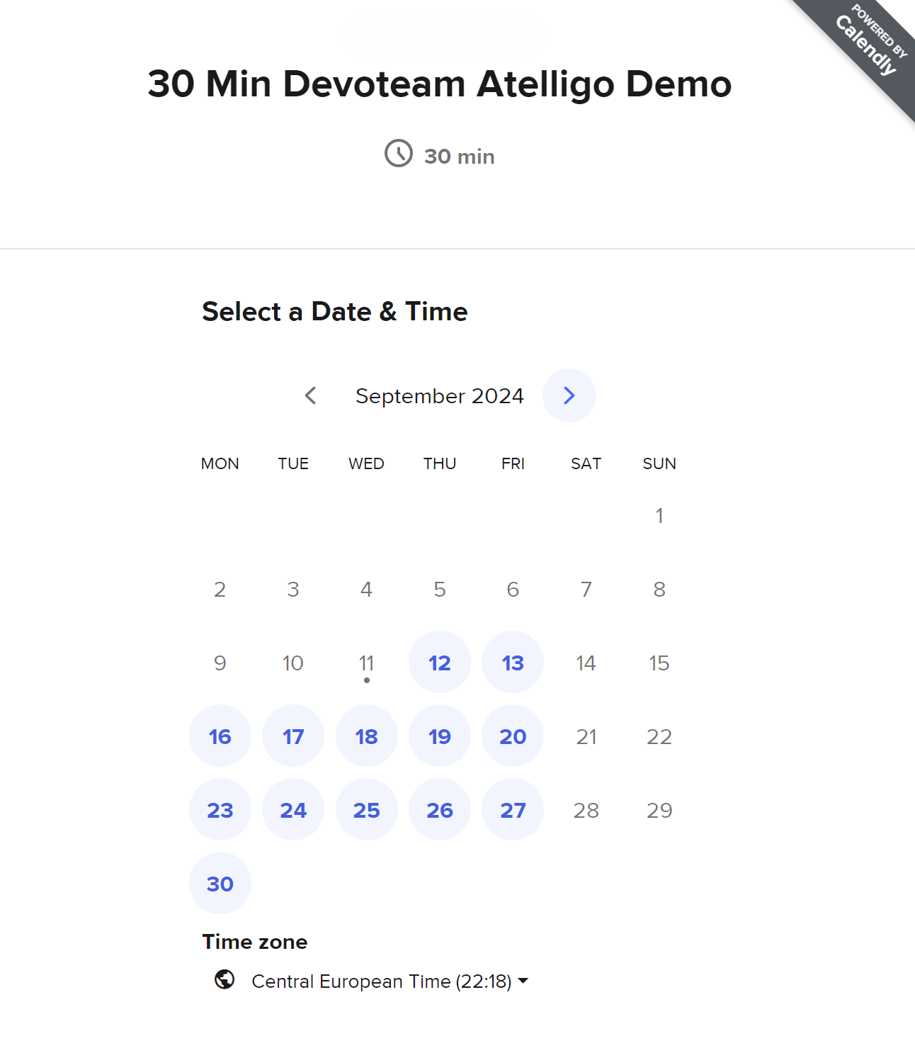 devoteam atelligo demotermin